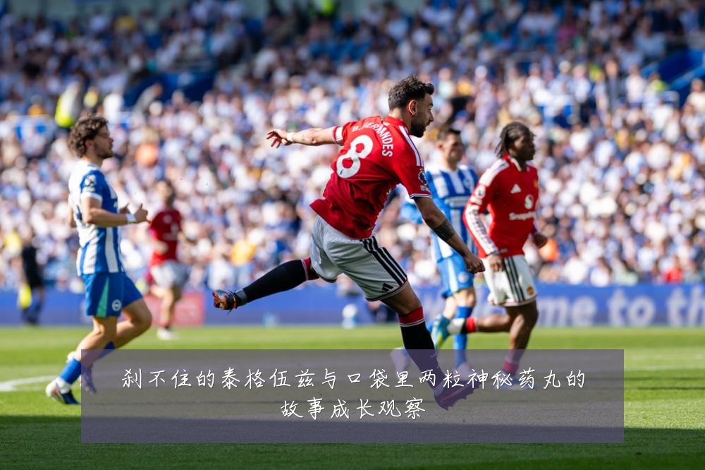 刹不住的泰格伍兹与口袋里两粒神秘药丸的故事成长观察