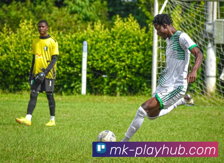 MK官网全新上线，探索独特设计与潮流时尚的完美融合